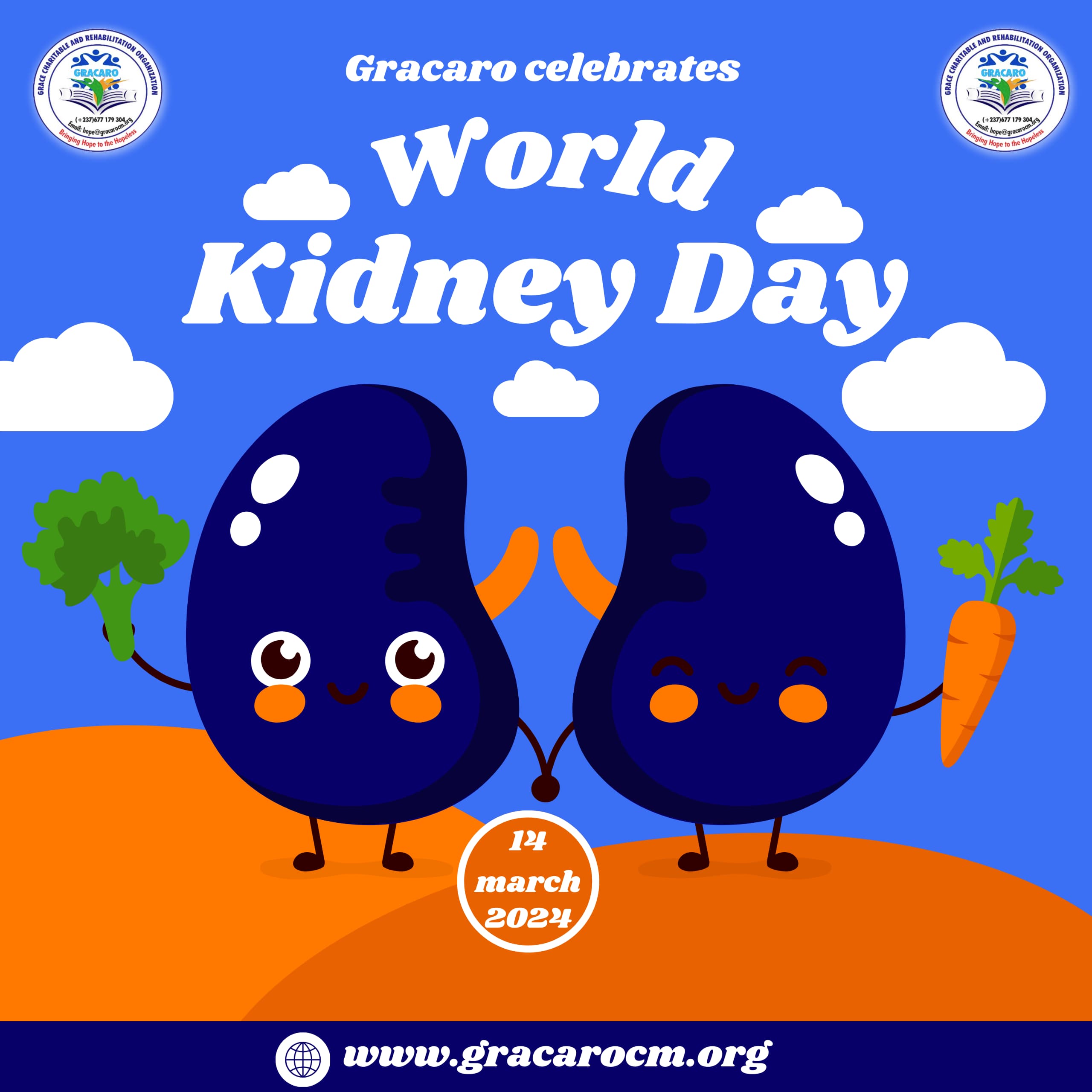 World Kidney Day: Kidney Health For All